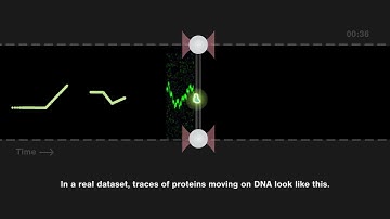 What is a kymograph in single molecule analysis?