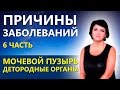 БОЛЕЗНИ И ИХ ПРИЧИНЫ. 6 часть