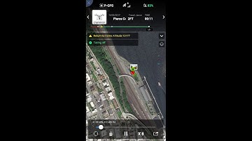 DJI go app flight info