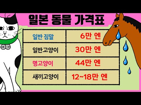 일본  고양이 가격! 말보다 더 비싸다! 고양이문화의 역사