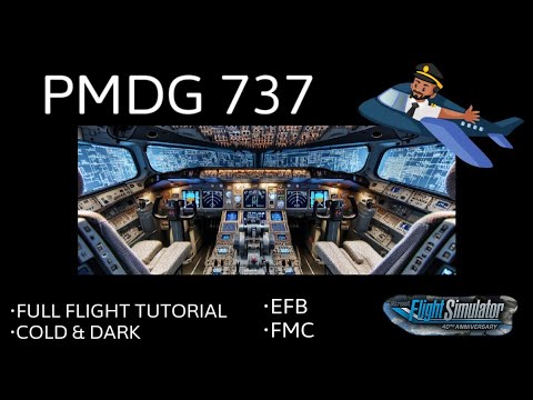 PMDG 737 BEGINNERS / ADVANCED GUIDE MSFS 2020, MAYBE ASMR - YouTube