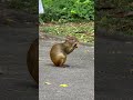 cracker and its eater. #nature