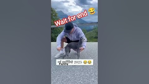 wait for end 😂🤣 #shorts #shortsfeed #funny #funnyshorts #youtubeshorts #youtube #ytshorts #comedy