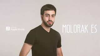  Sargis Yeghiazaryan - Molorak Es  