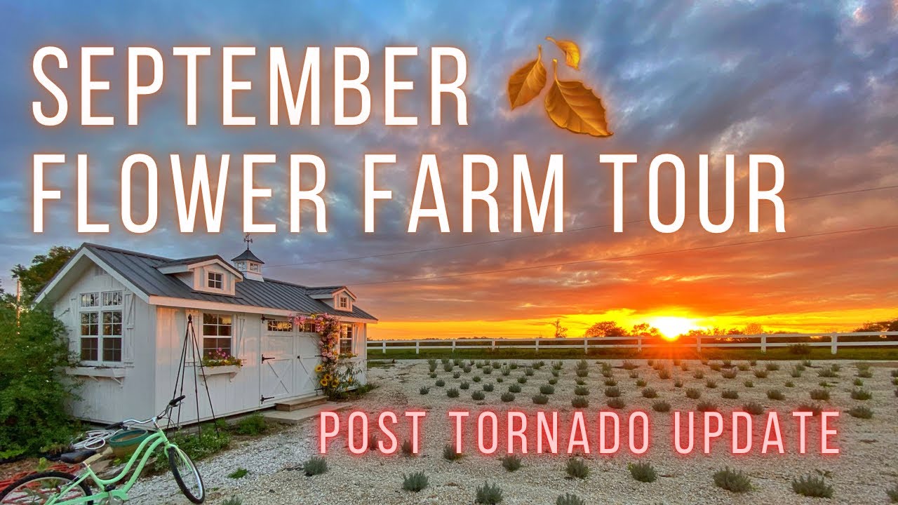 SEPTEMBER FLOWER FARM TOUR | Post Tornado Update | PepperHarrow