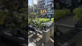 What Should We Plant?