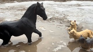 The Moon Pack Part 6