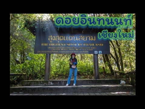 สูงสุดแดนสยาม ที่ดอยอินทนนท์ อุทยานแห่งชาติเชียงใหม่ | ป่าเมฆ