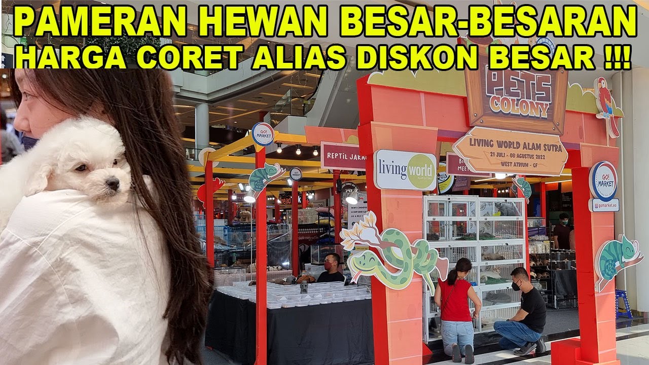 DISKON SEMUA DI PAMERAN PETS COLONY LIVING WORLD ALAM SUTERA YouTube