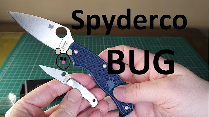 Spyderco Bug!  I will never be without an EDC pocket knife again!  Also, perfect for a rat.