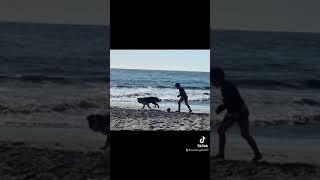 Hornitos playa Antofagasta