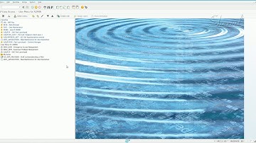 45 - SAP GRC - ARA - RISK ANALYSIS FOR FIORI - II
