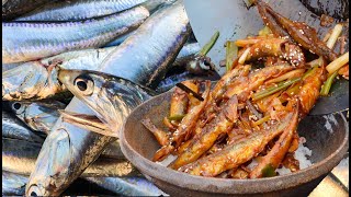 BEST CATCH AND COOK ANCHOVIES You Will Ever See