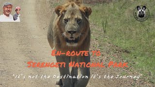 Enroute to the Serengeti 2023