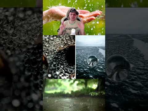 Можно ли пить дождевую воду🌧️, научная точка зрения🥤 #новостинауки #наука #иследования