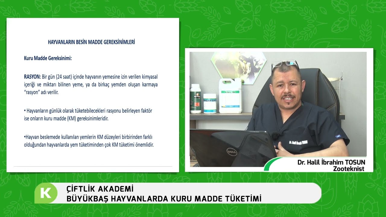 BÜYÜKBAŞ HAYVANLARDA KURU MADDE TÜKETİMİ