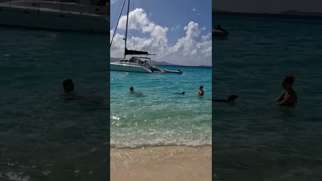 Dachshund Swimming Laps - SV Cabo #59-7 