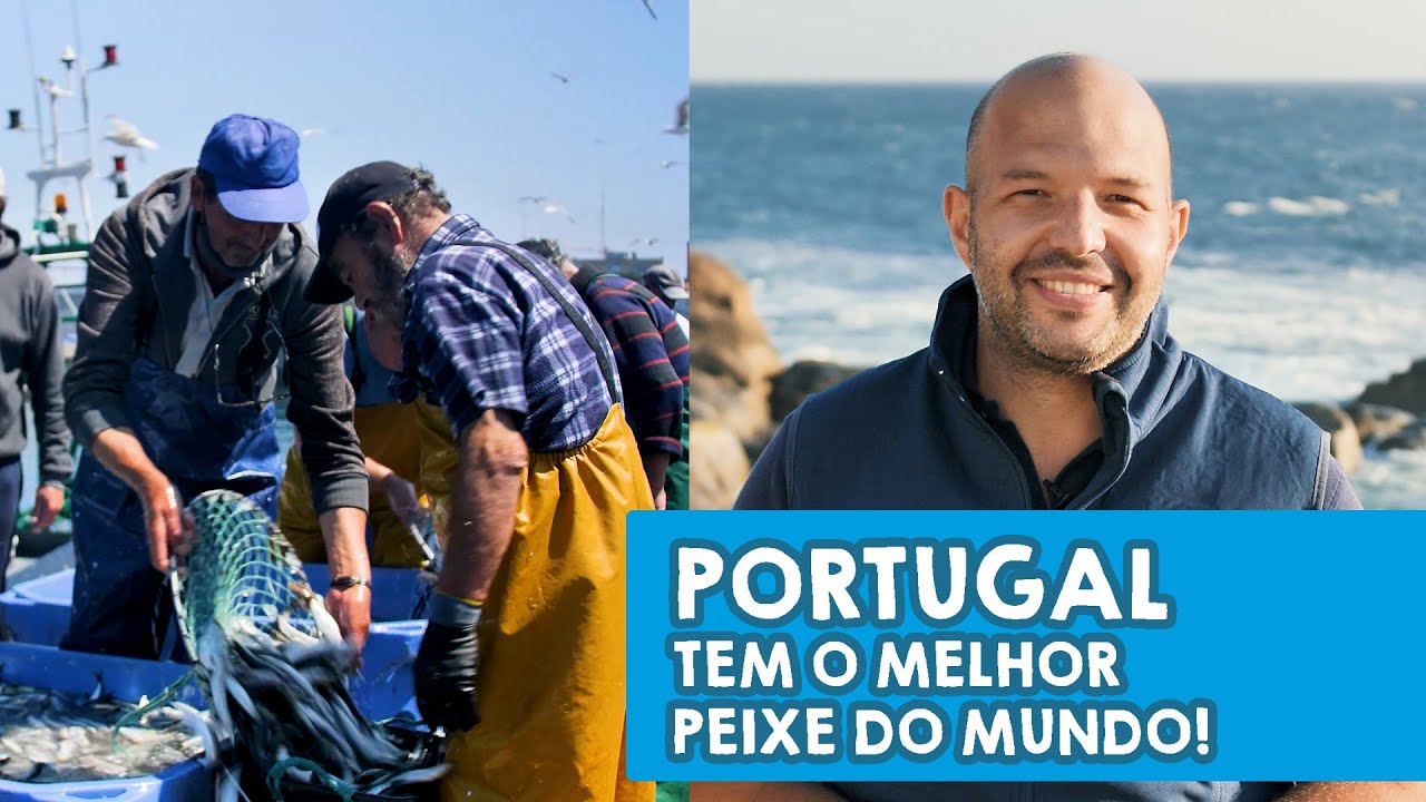 Portugal tem o Melhor Peixe do Mundo | Documentário