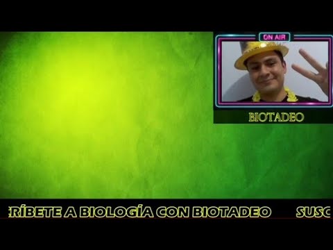 DESPEDIDA DE FIN DE AÑO 2021