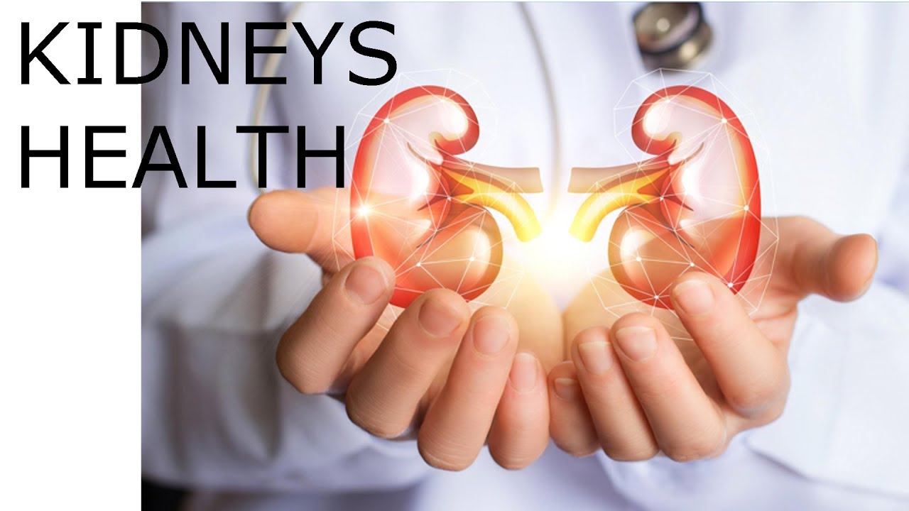 How to Heal Your Kidneys YouTube