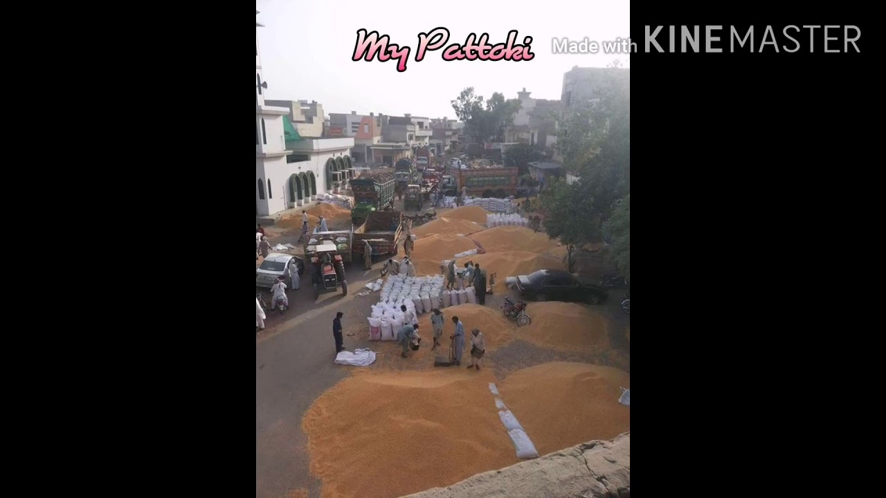 Pattoki city history