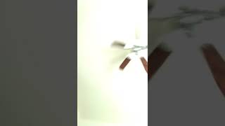 Water Bottle Flipping Challenge