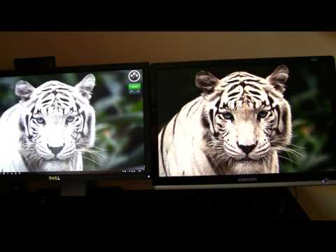 Dell U2311H (IPS)  And Samsung 226CW (TN)