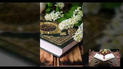 تلاوه خاشعه للشيخ هزاع البلوشي تأخذك الي عالم اخر