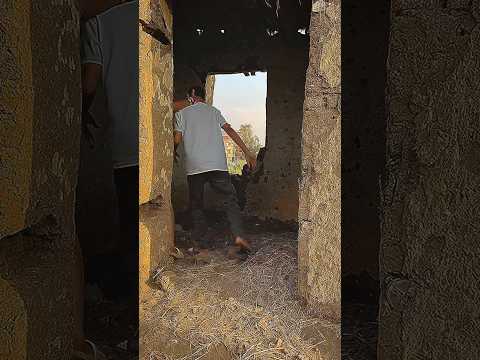 كل شويه واحد يخش البيت المهجور ده ويطلع منو ب فلوس