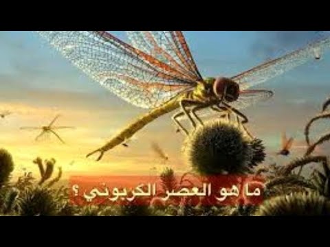 ما ھو العصر الكربوني نظريات