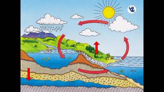 STATE BOARD STD 9 ENGLISH MEDIUM GENERAL SCIENCE LESSON 7 ENERGY FLOW IN AN ECOSYSTEM