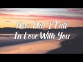 How Did I Fall In Love With You - Acoustic Cover with Lyrics