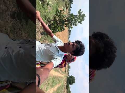 Bike पर खेत जा रहे हैं माँ के साथ🤩 #vlog #ganvkilifestyle #villagevlog
