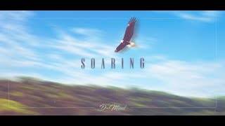 D-Mind - Soaring (Hardstyle) | Official Lyric Video