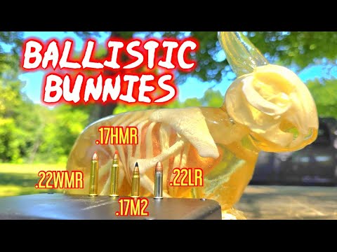 Rimfire Ballistic Rabbit Test .22WMR .17HMR .17HM2 .22LR