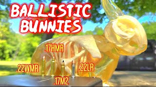 Rimfire Ballistic Rabbit Test .22WMR .17HMR .17HM2 .22LR