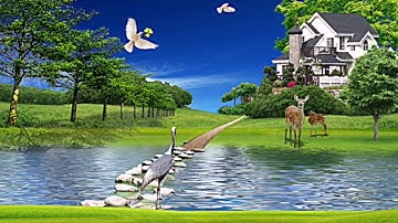 #سورة فصلت كاملة___&___ للقارئ كمال إمعليتن