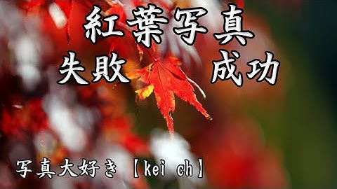 紅葉写真の失敗と成功例解説（初級者向け動画）