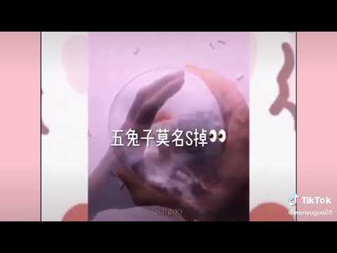 禁曲：十只兔子
