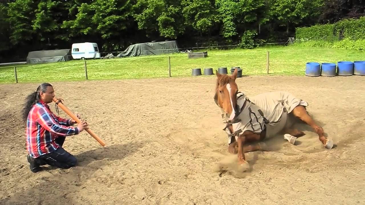 Michael Telapary plays Flute for the horses YouTube