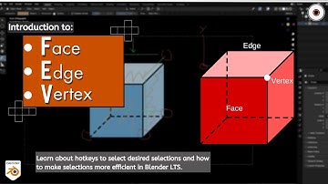 Blender 3D Tutorial: Understanding Face, Vertex, and Edge Basics| Learn about 3D Modeling Components