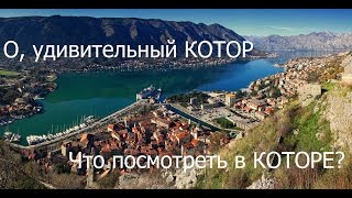 О, удивительный КОТОР! Или что посмотреть в Которе?