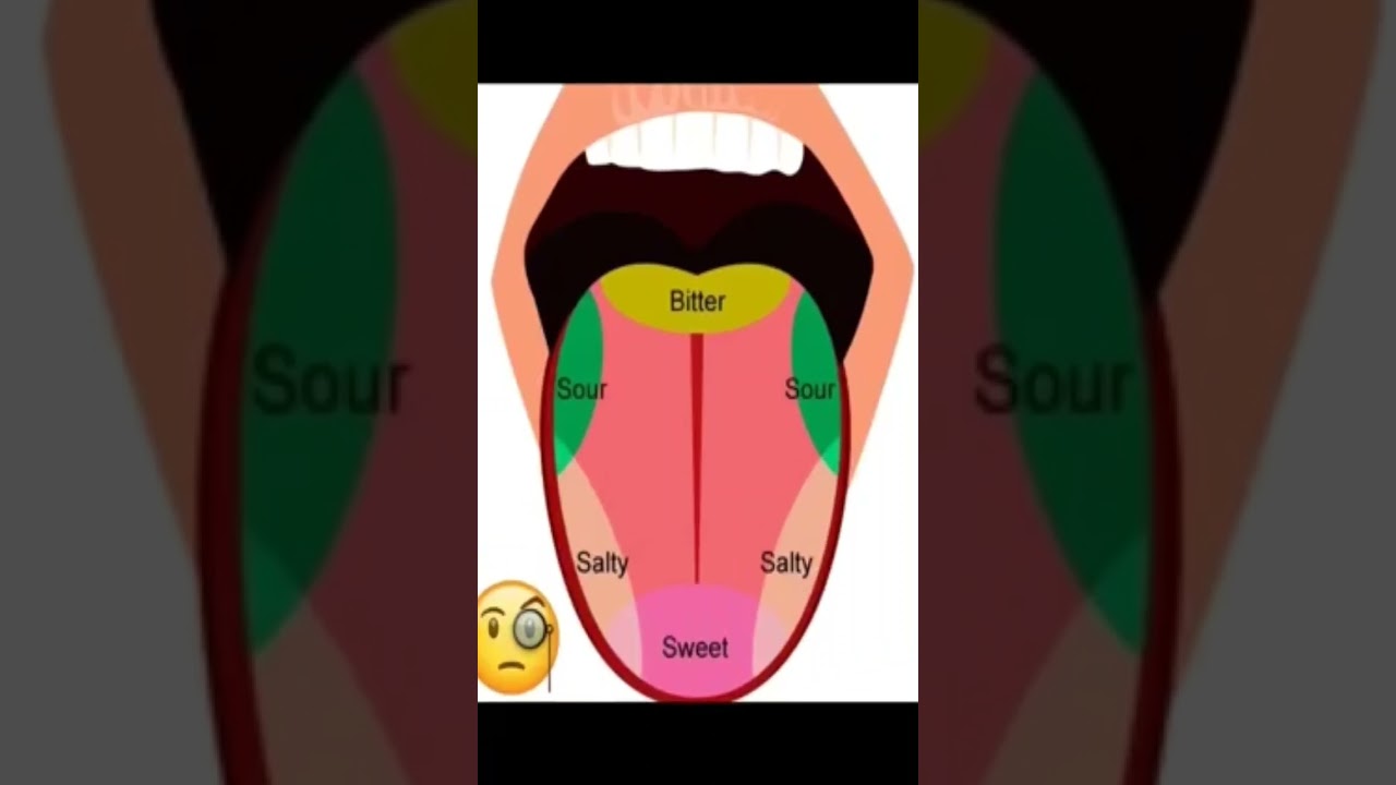 Different parts of tongue taste differently