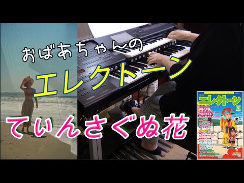 【てぃんさぐぬ花】沖縄県民謡　おばあちゃんのエレクトーン演奏