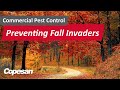 Commercial pest control tips to prevent fall invaders