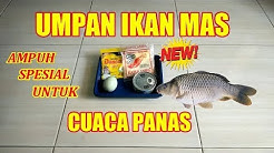 UMPAN IKAN MAS JITU SPESIAL UNTUK CUACA PANAS - Durasi: 13.44. 