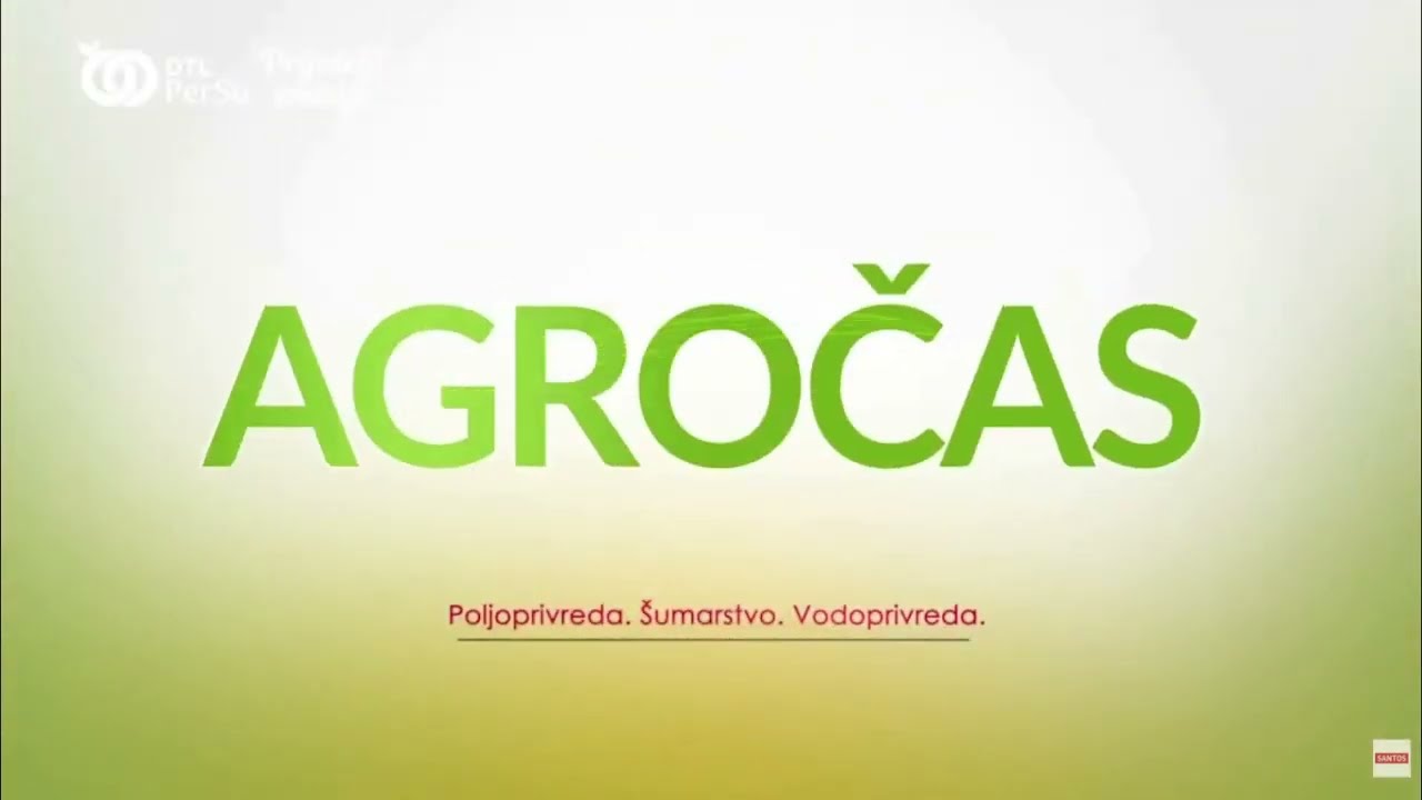 НОВОГОДИШЊИ 