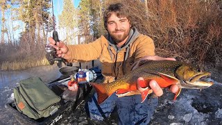 Ice Fishing for Brook Trout + Catch & Cook!
