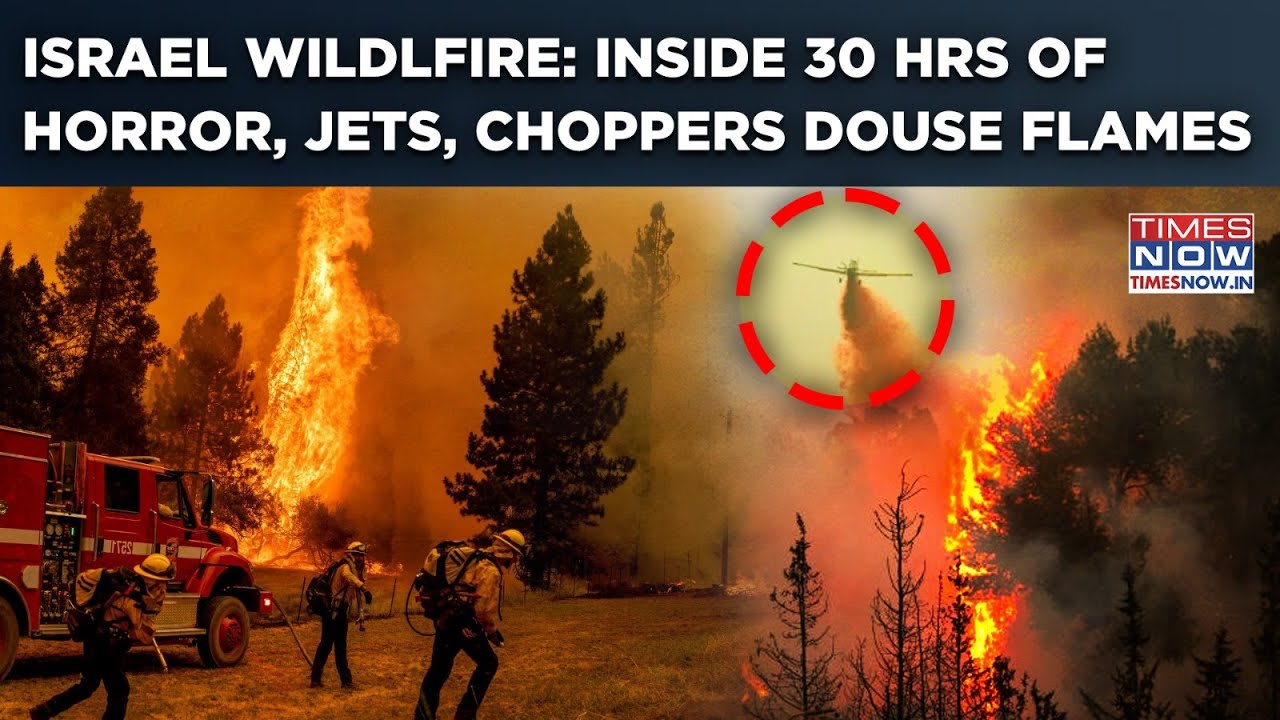 Israel 'Largest' Wildlfire: Inside 30 Hrs Of Horror| Watch Jets, Choppers Douse Apocalyptic Flames