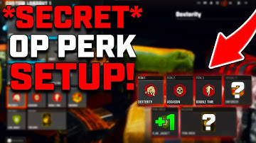 BEST PERK SETUP IN BO6! | SECRET OP PERK LOADOUT!